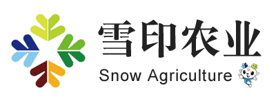 m.shhuicheng.cn  